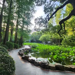 Nanping People's Park - Nanping