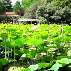 Nanping People's Park - Nanping
