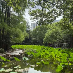 Nanping People's Park - Nanping