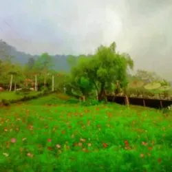 Yanping District Museum - Nanping