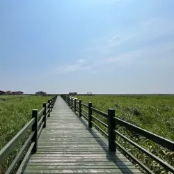 Qidong Nantong Wetland Park - Nantong