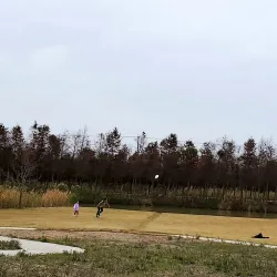 Qidong Nantong Wetland Park - Nantong