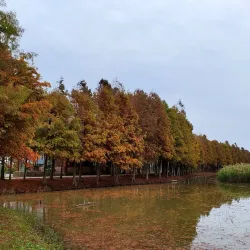 Qidong Nantong Wetland Park - Nantong