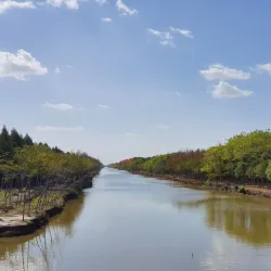 Qidong Nantong Wetland Park - Nantong