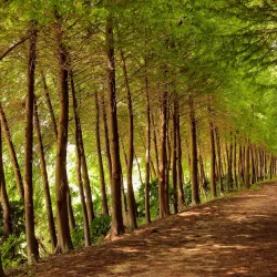 Qidong Nantong Wetland Park - Nantong