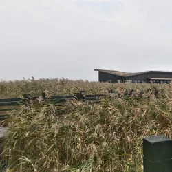 Qidong Nantong Wetland Park - Nantong