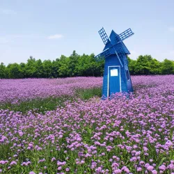 Qidong Nantong Wetland Park - Nantong