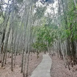 Shimen National Forest Park - Nanyang