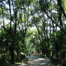 Baoguo Temple - Ningbo