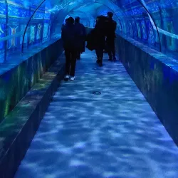 Ningbo Ocean World - Ningbo