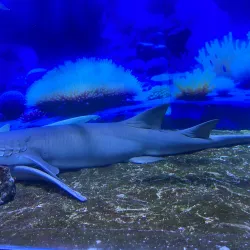 Ningbo Ocean World - Ningbo