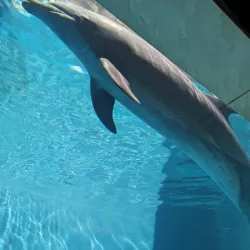 Ningbo Ocean World - Ningbo