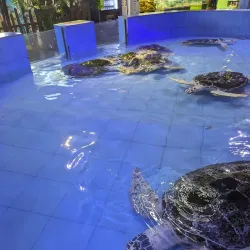 Ningbo Ocean World - Ningbo