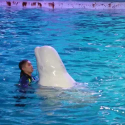 Ningbo Ocean World - Ningbo