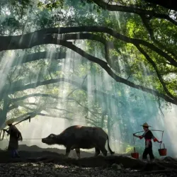 Xiapu Mudflat - Ningde