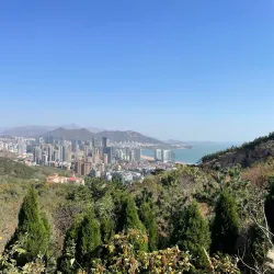 Dazeshan Forest Park - Pingdu