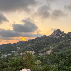 Dazeshan Forest Park - Pingdu