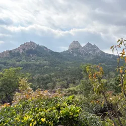 Dazeshan Forest Park - Pingdu
