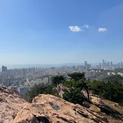 Dazeshan Forest Park - Pingdu