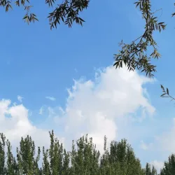 Pingdu Folk Culture Village - Pingdu