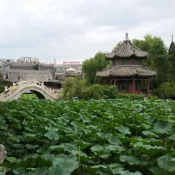 Pingdu Lotus Lake - Pingdu