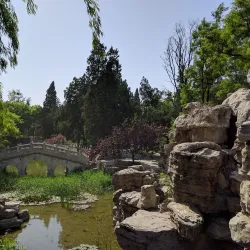 Pingdu Lotus Lake - Pingdu