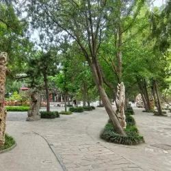 Pingdu Lotus Lake - Pingdu