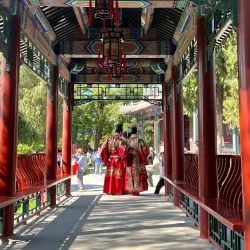 Pingdu Lotus Lake - Pingdu