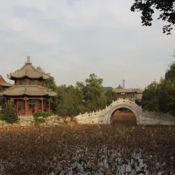 Pingdu Lotus Lake - Pingdu