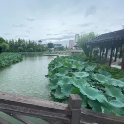 Pingdu Museum - Pingdu