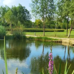 Pingdu Museum - Pingdu