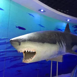 Qingdao Underwater World - Qingdao