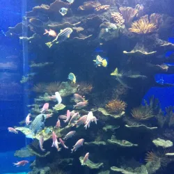 Qingdao Underwater World - Qingdao