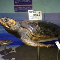 Qingdao Underwater World - Qingdao