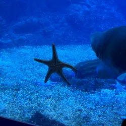 Qingdao Underwater World - Qingdao