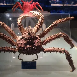 Qingdao Underwater World - Qingdao