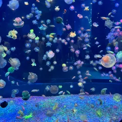 Qingdao Underwater World - Qingdao