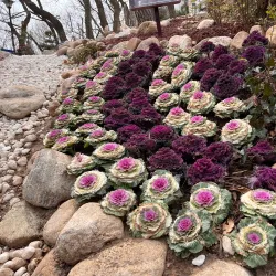 Xiaoyushan Park - Qingdao