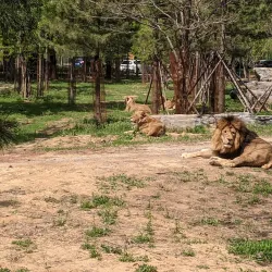 Qinhuangdao Wildlife Park - Qinhuangdao