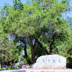 Qiqihar People's Park - Qiqihar