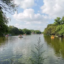 Qiqihar People's Park - Qiqihar