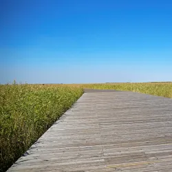 Zhalong Nature Reserve - Qiqihar