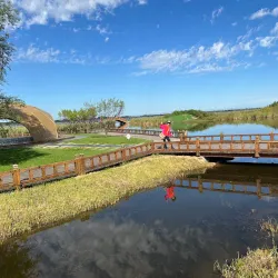 Zhalong Nature Reserve - Qiqihar