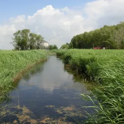 Zhalong Nature Reserve - Qiqihar