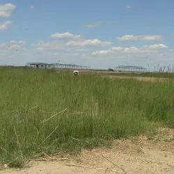 Zhalong Nature Reserve - Qiqihar