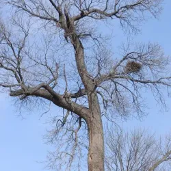 Zhenguo Temple - Quanzhou
