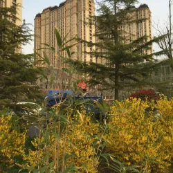 Qingdao Bay Park - Rushan