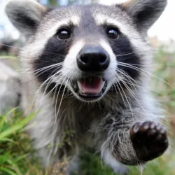 Rushan Coastal Scenic Area - Rushan