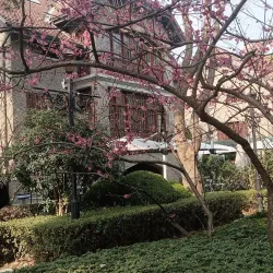 French Concession - Shanghai