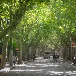 French Concession - Shanghai